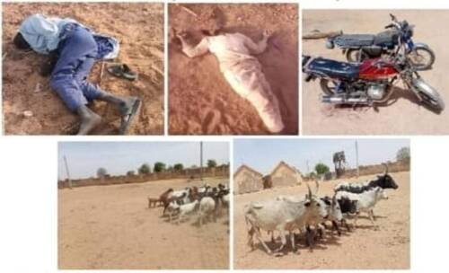 Troops Neutralise Terrorists, Recover Arms, Rustled Cattle in Borno, Katsina