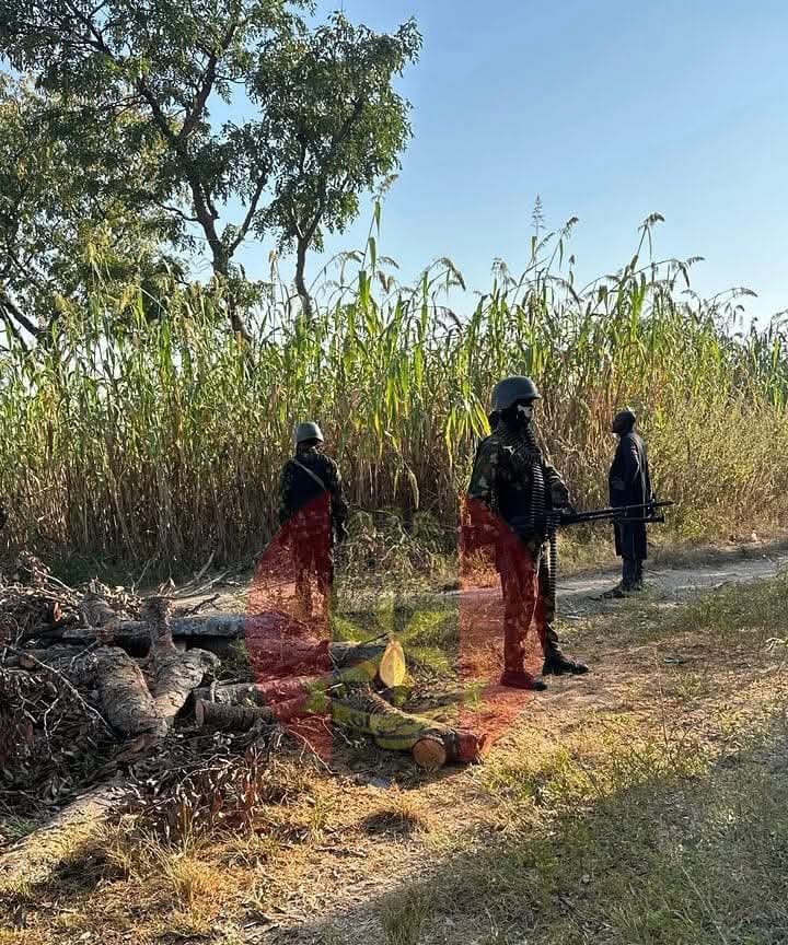 Troops Rescue Kidnapped Victim In Kogi