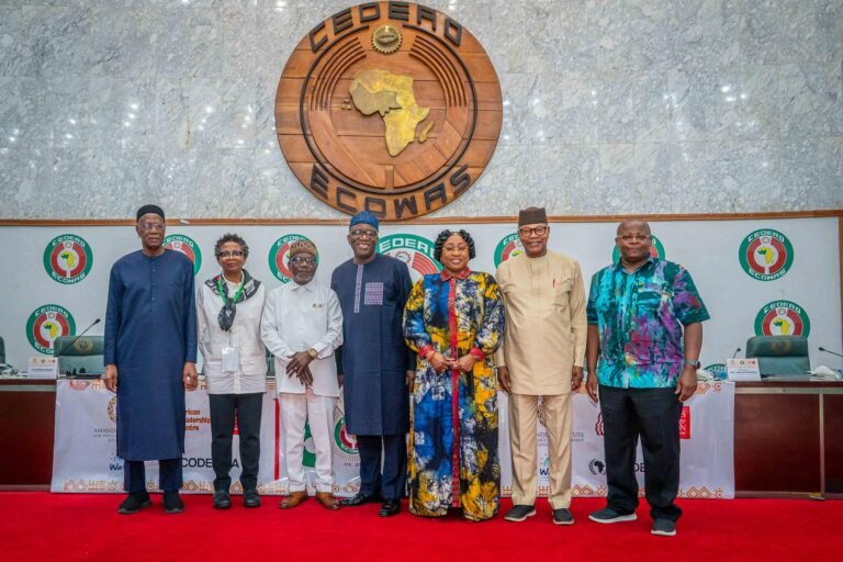 Why ECOWAS Must Reform To Tackle Poverty, Insecurity In West Africa -Fayemi