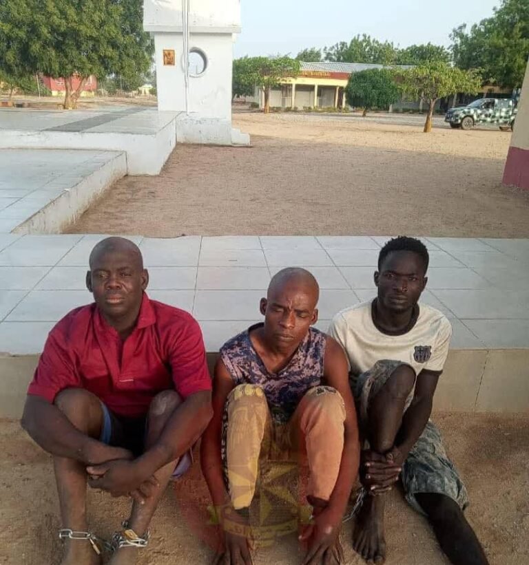 Troops Neutralise Five Terrorists, Disrupt Logistics Networks In Borno