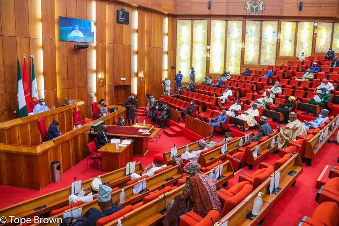 Insecurity: Senate Passes State Police Bill
