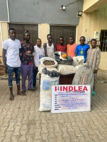 NDLEA Uncovers Illicit Drug Consignment In Commercial Bus Engine, Arrests Two