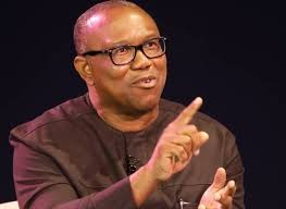 Deportation: Your Hypocrisy Stinks, Onanuga Tackles Peter Obi