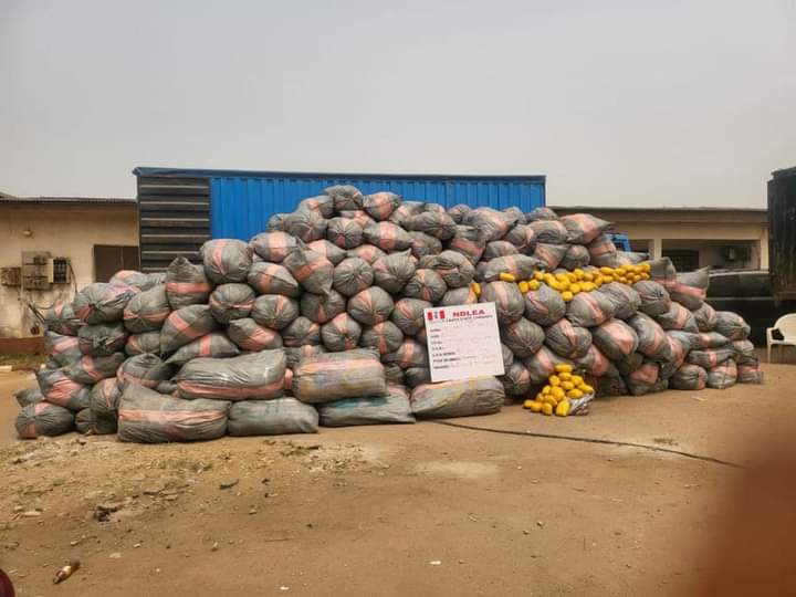 NDLEA Nabs Most Wanted Lagos Drug Baron, Temo