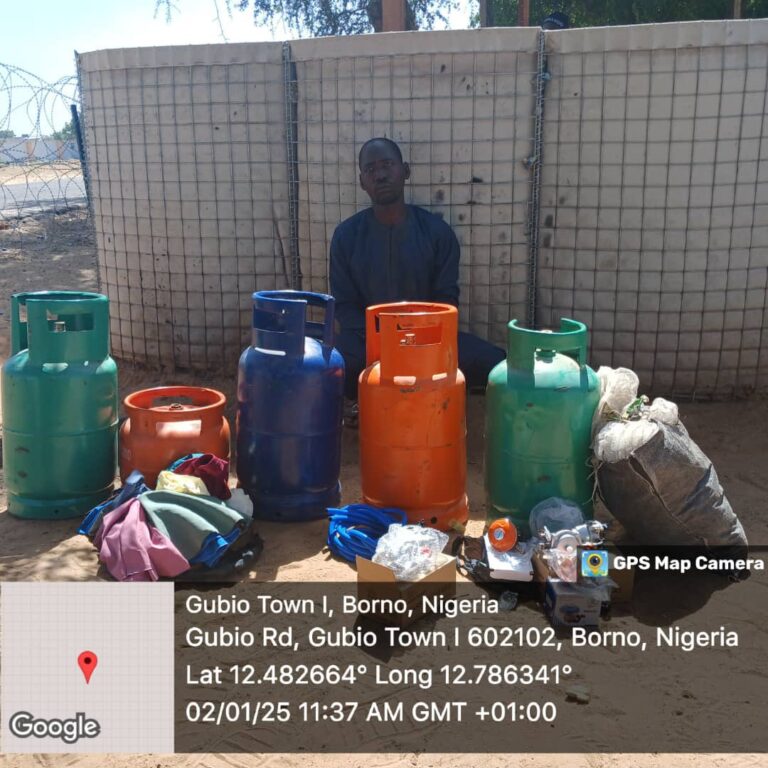 MNJTF Foils Potential IED Attack, Intercepts Terrorists’ Courier