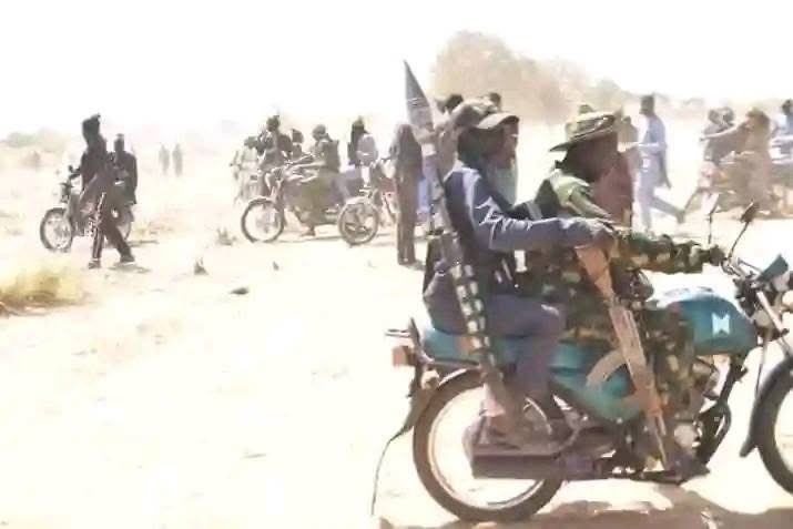 Bandits Attack Ringa Village, Kidnap Four In Niger