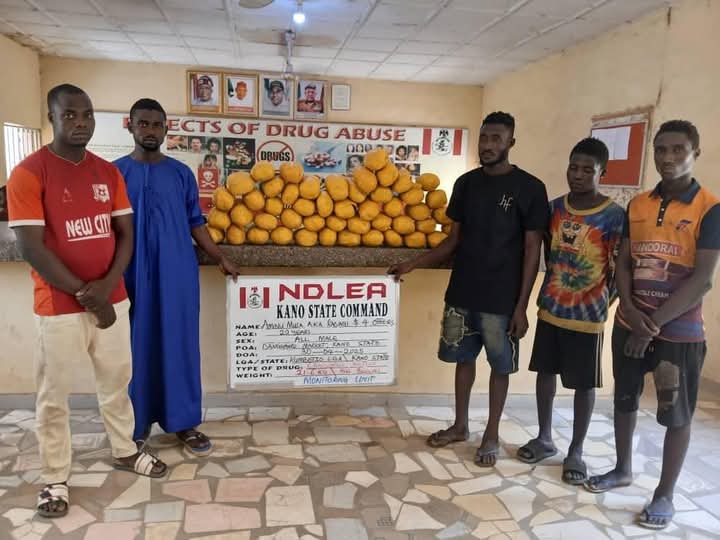 NDLEA Intercepts 942 Explosives In Kaduna