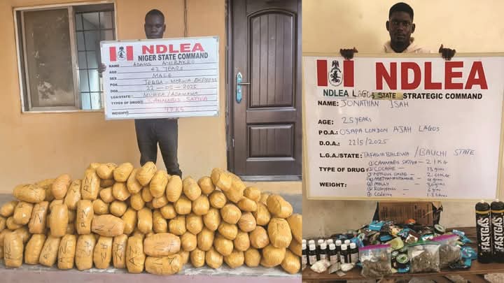 NDLEA Intercepts N6.5bn opioids In Lagos, Rivers Ports