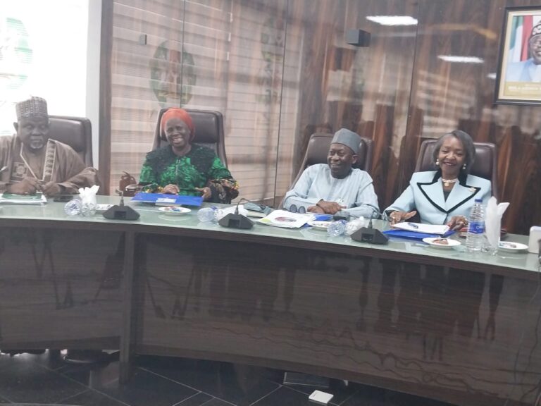 INEC Fixes August 16 for By-elections In 16 Constituencies