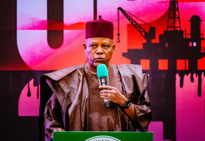 How Adoke, Tambuwal, Turaki Prevailed On Jonathan From Impeaching Me As Governor – Shettima