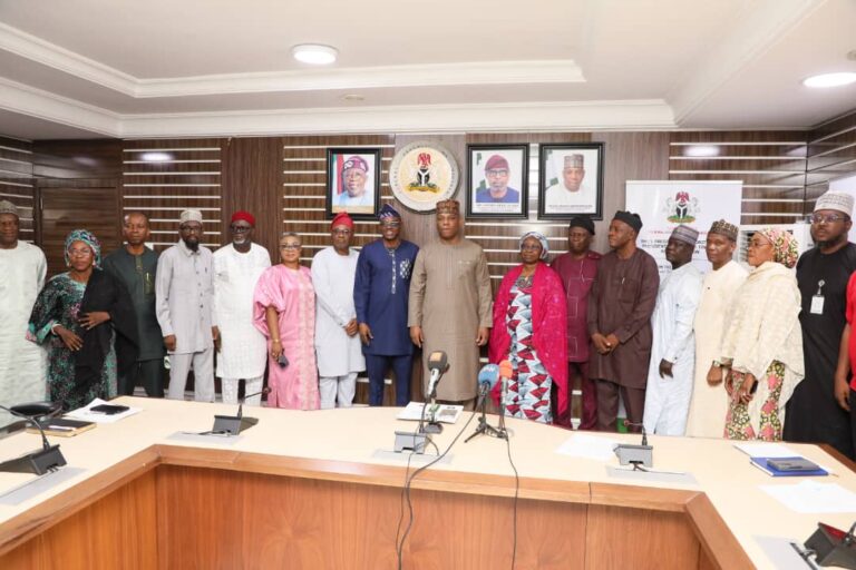Audu: We Need Technical Audit To Re-evaluate Comatose State Of Ajaokuta