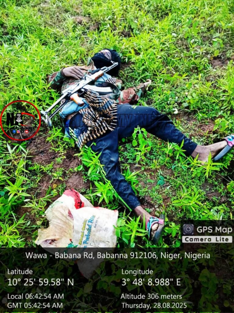 Troops Neutralise Two Bandits In Niger