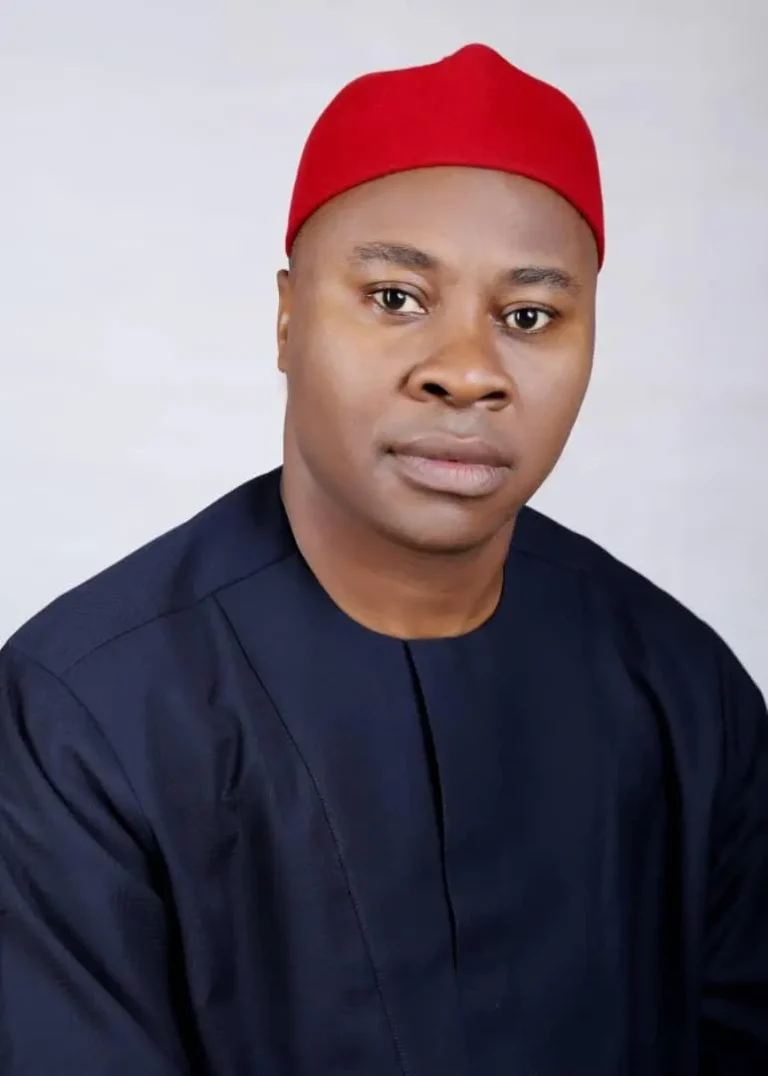 Budget Padding: Abians Must Be Vigilant, Hold Govt Accountable — APC Chieftain, Ikonne