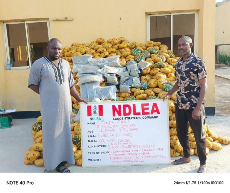 NDLEA Arrests Three Kingpins, Seizes N5.3bn Australia-bound Cocaine