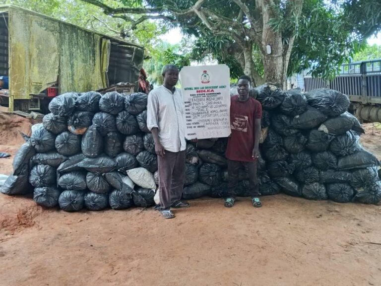 NDLEA Intercepts Terrorists’ Suppliers With Colorado, Opioid Supplies In Borno, Yobe