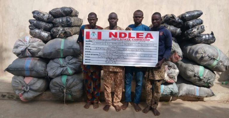 NDLEA Intercepts US, UK, DRC-bound Illicit Drug Consignments Concealed In Frozen Snails, Electrical Bulbs