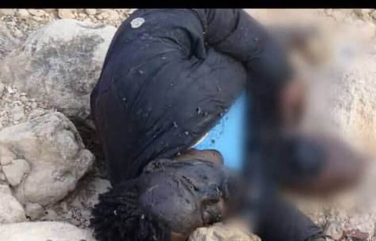 Troops Neutralise Three Terrorist Suicide Bombers In Borno