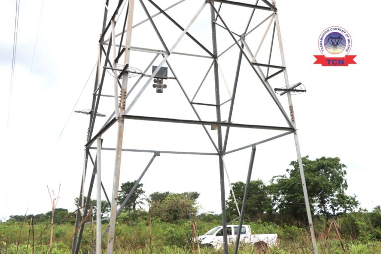 Suspects Arrested For Vandalism Of Nkalagu–abakaliki 132kv Transmission Line