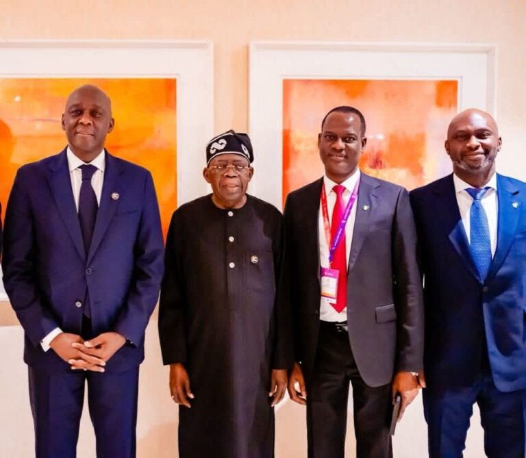 IFC Sending Team To Nigeria To Explore Scalable Investment In Livestock, Energy, Housing