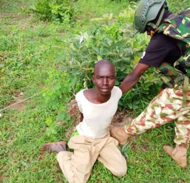 Troops Apprehend Another Foreign Terrorist Fighter, Illegal Immigrant In Borno