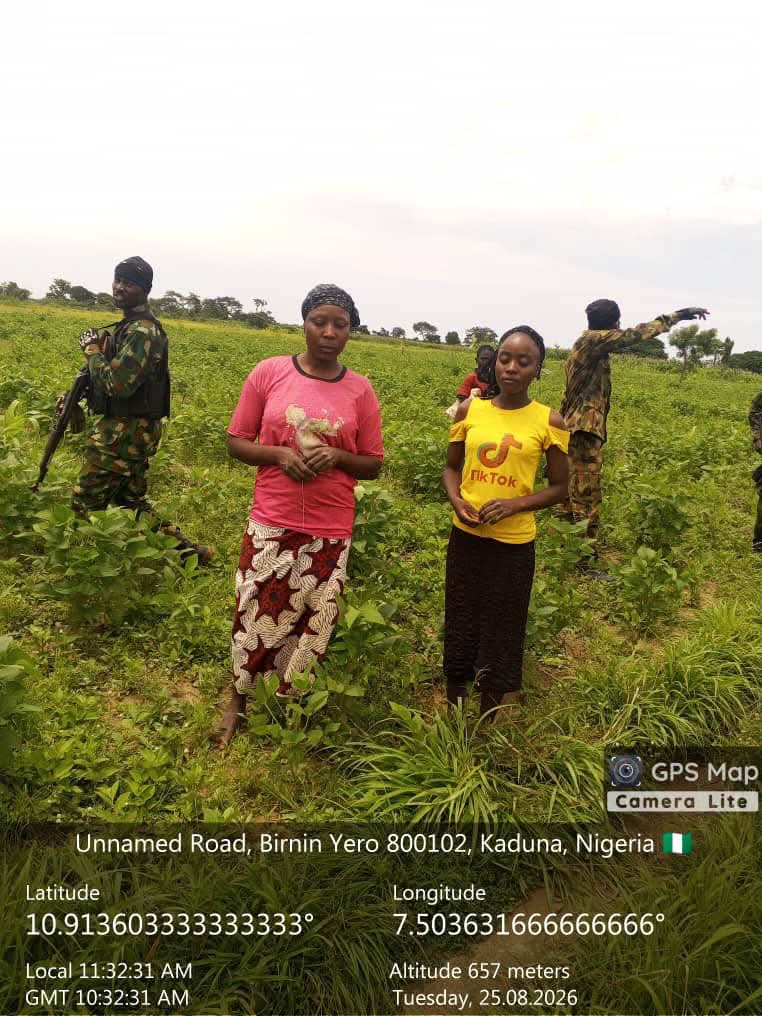 Troops Rescue Kidnapped Victims, Recover 94 Rustled Livestock In Kaduna, Kano